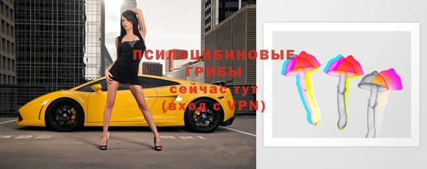 не бодяженный Приозерск