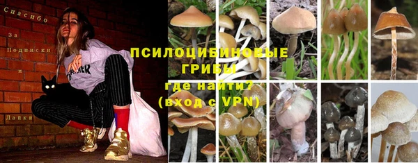 трава Протвино