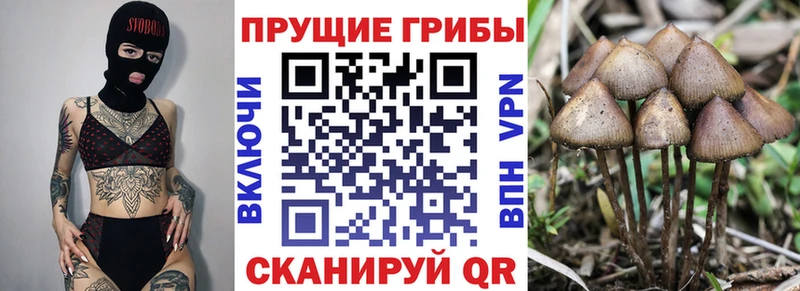 Псилоцибиновые грибы прущие грибы  наркошоп  Семёнов 
